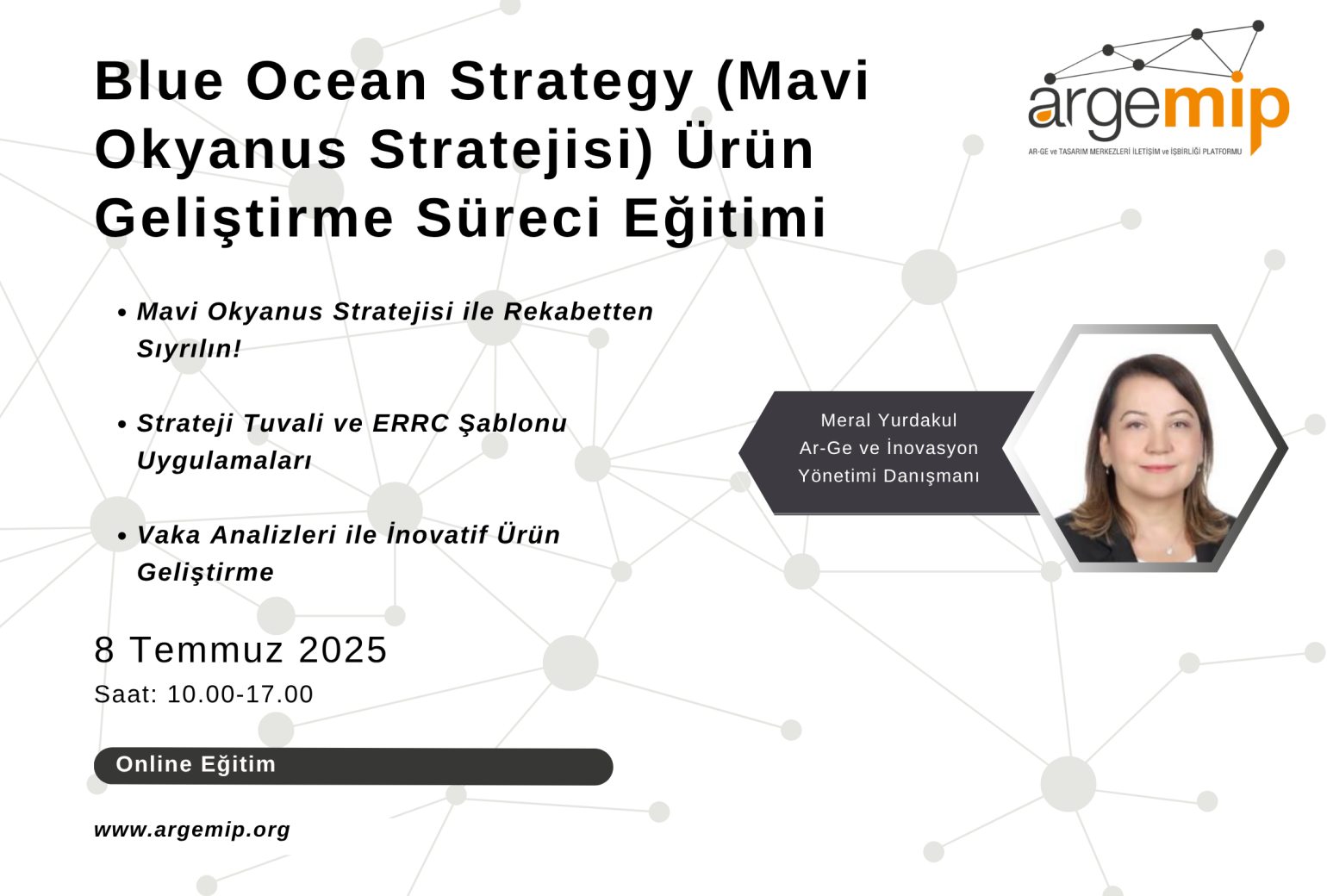Blue Ocean Strategy (Mavi Okyanus Stratejisi) Ürün Geliştirme Süreci Eğitimi